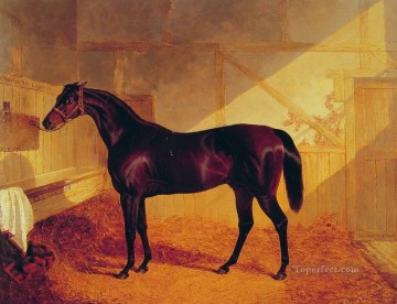  estable Obras - Sr. Johnstones Carlos XII en un caballo estable Herring Snr John Frederick